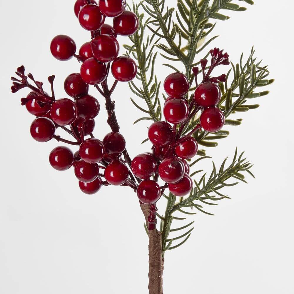 Red Berry Branch With Rosemary Home on Darley Mona Vale