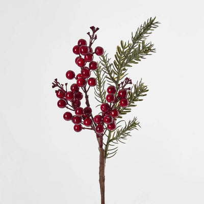 Red Berry Branch With Rosemary Home on Darley Mona Vale